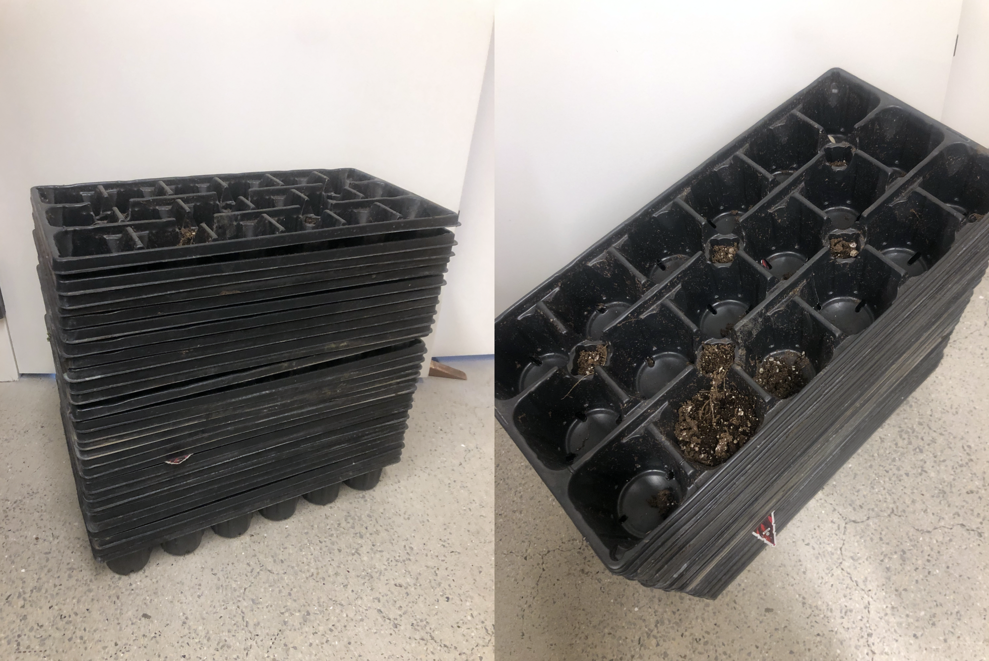 seed starters