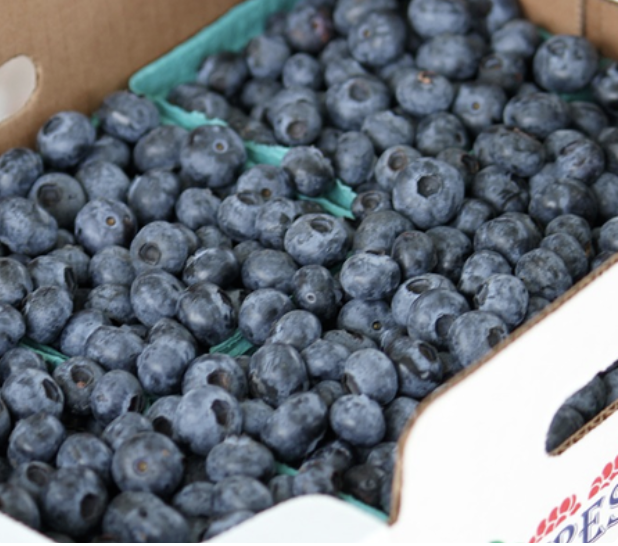blueberries